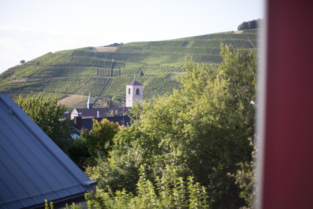 Hotel Heiligenstein Baden-Baden Buitenkant foto